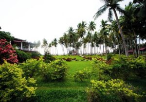 Read more about the article 🏝️ Why Sea Princess Resort Is a Popular Choice for Beach Lovers
