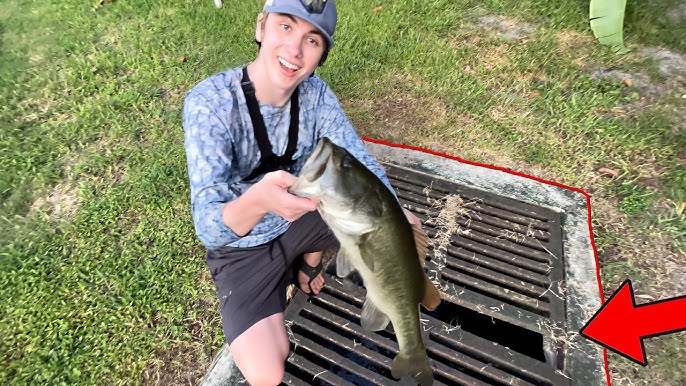 You are currently viewing Big Fish McCall: Great Food, Fresh Catch, Relaxed Vibes