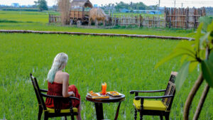 Read more about the article Paddy View Resort: Your Perfect Nature Getaway