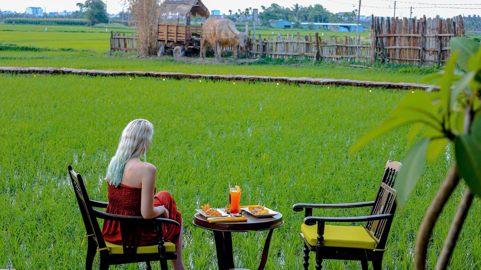 You are currently viewing Paddy View Resort: Your Perfect Nature Getaway